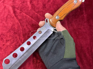 dana-danebi-dana-danebi