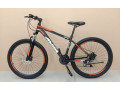 made-in-usa-velosipedi-velo-velosipedi-amerikuli-germanuli-small-0